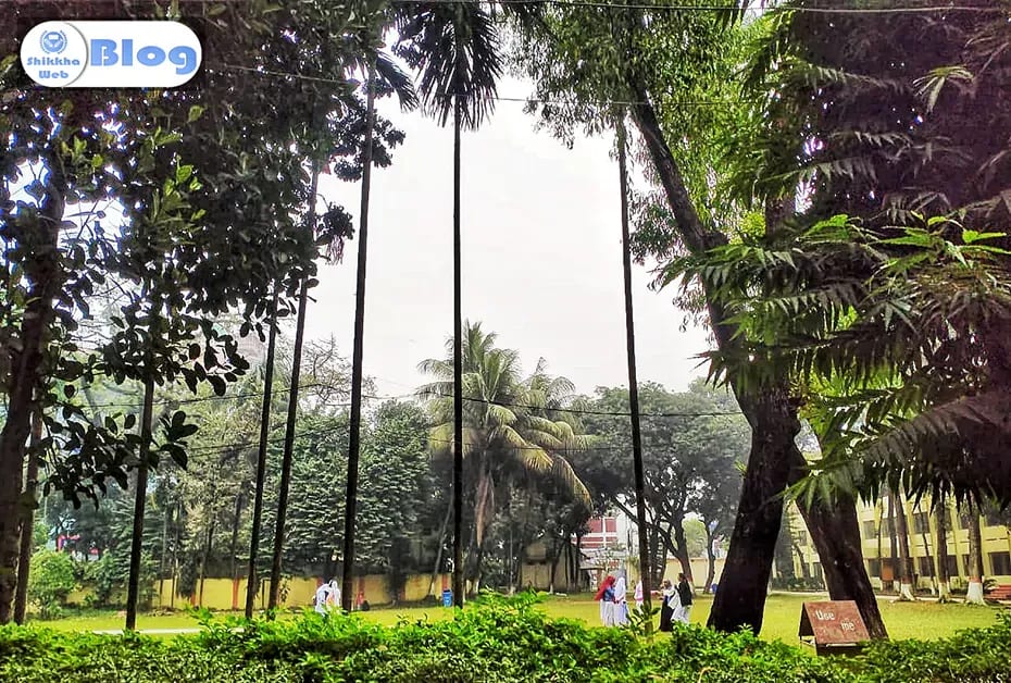 ব্রাহ্মণবাড়িয়া মহিলা কলেজের সবুজ প্রাঙ্গণ